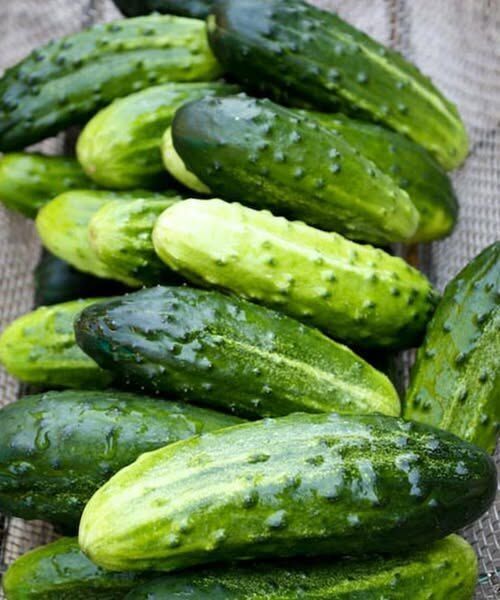 The Hidden Benefits of Adding Cucumbers to Your Salads: What Health Experts Want You to Know