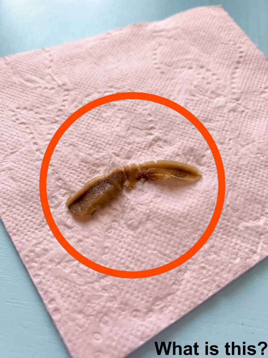 The Bathroom Mystery That Turned Into an Embarrassing Discovery