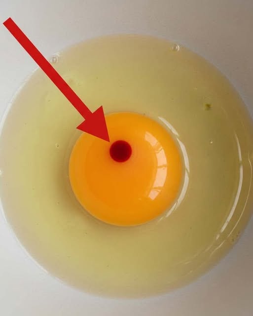 Red Spots in Your Eggs: Should You Be Worried or Eat Them Anyway?